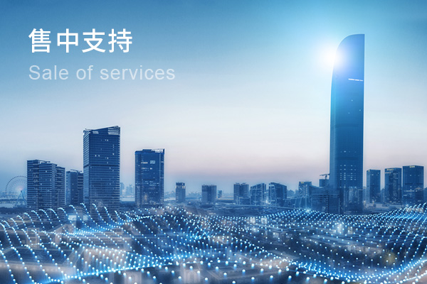 售中支持